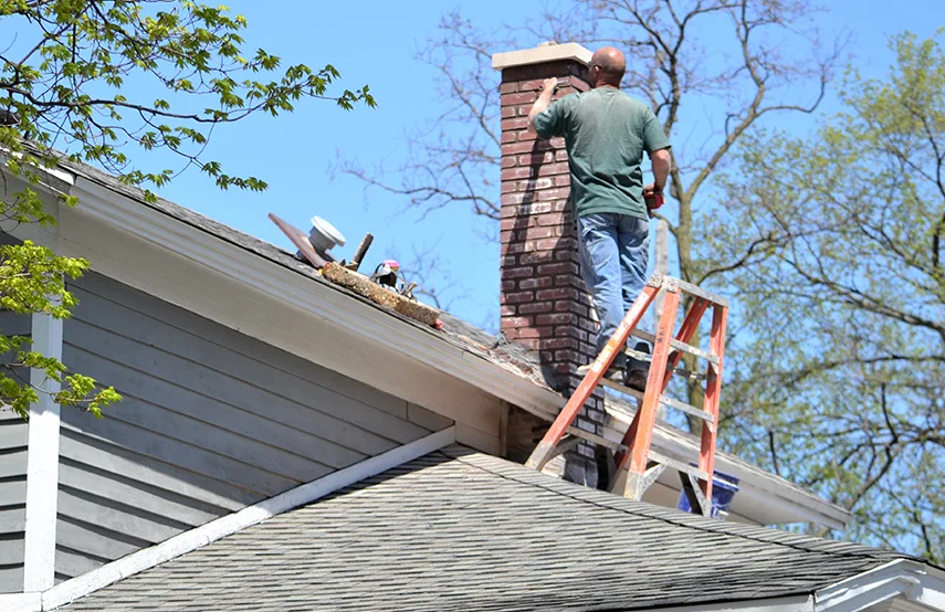 Chimney & Fireplace Inspections Services in Wylie, TX